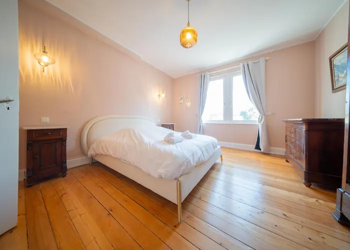 Great Free Parking 科尔马