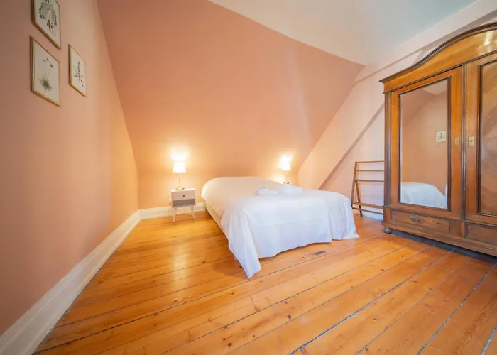 Great Free Parking * 科尔马